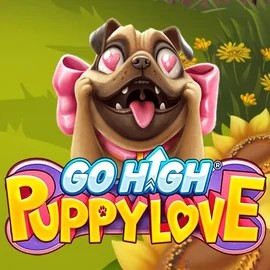 Go High Puppy Love slot visual from RubyPlay available on reelsoncasinoo.com